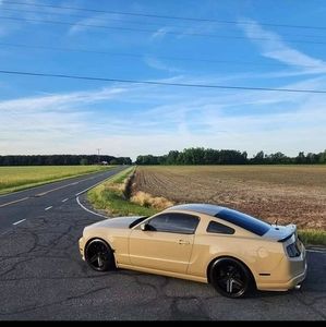 Meet your Posher, Matt